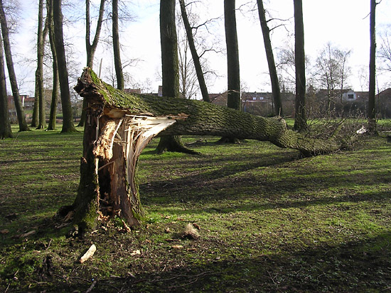 1 mars 2008 - tempête, l'étang reste fermé