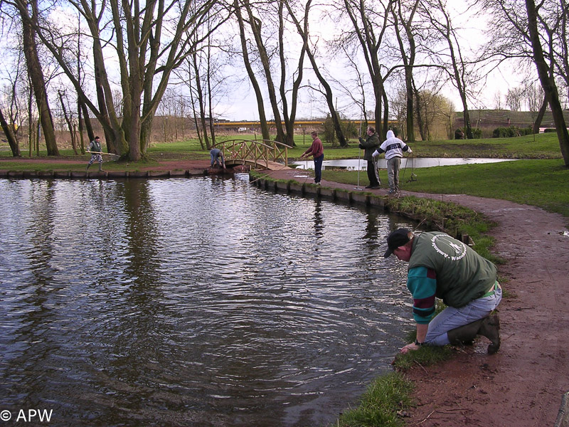 2004-02-28 Nettoyage de l'étang_etang_-_APW.jpg