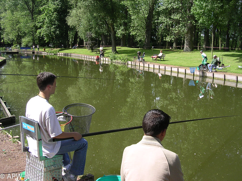 2004-06-05 Concours jeunes