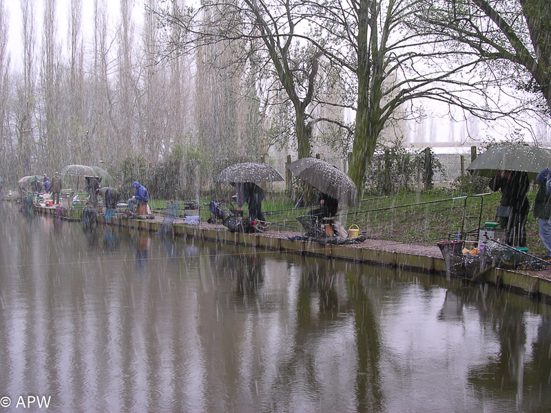 Un concours bien arosé, 2005-04