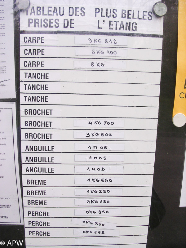 Tableau des plus belles prises de l'étang, 04-2005