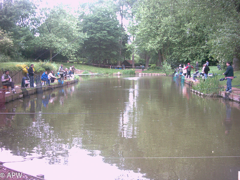 Concours à la truite (pêcheurs des deux côtés), 2005-06