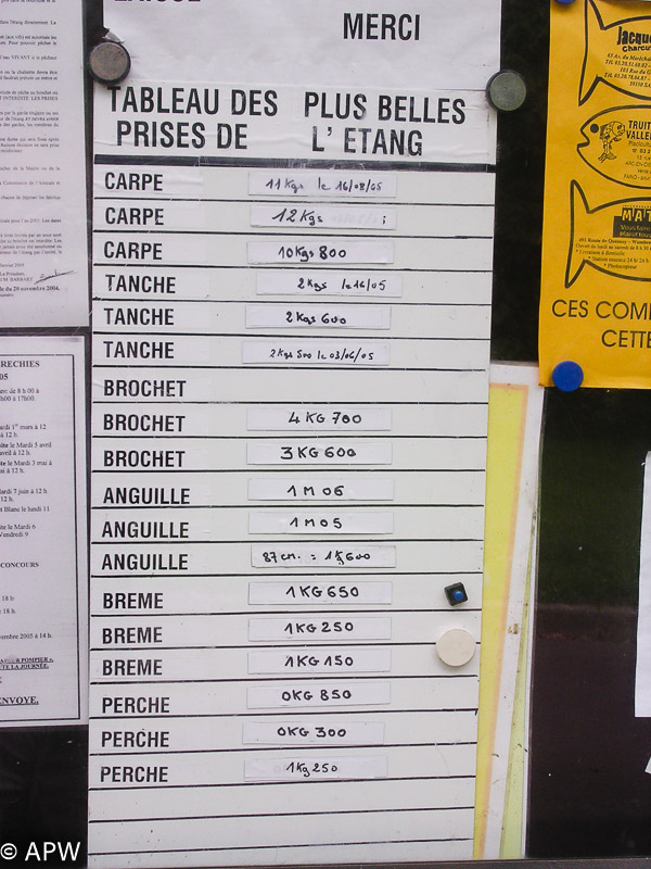 Tableau des plus belles prises de l'étang, 09-2005