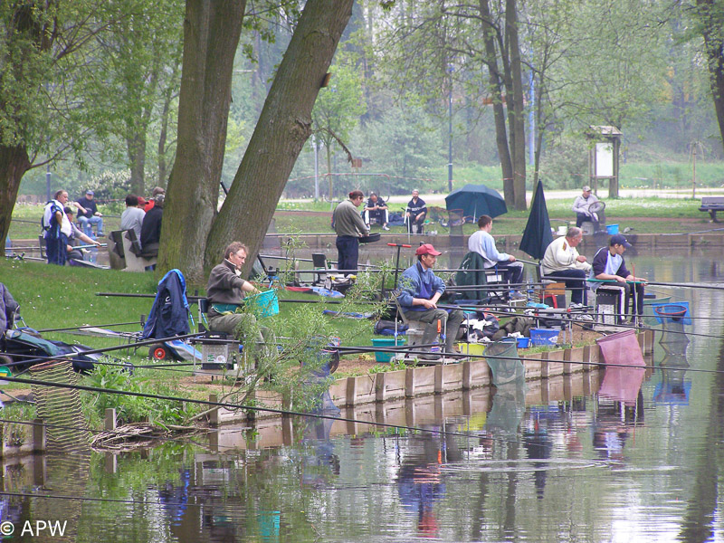 Concours amical au blanc, 2006-05