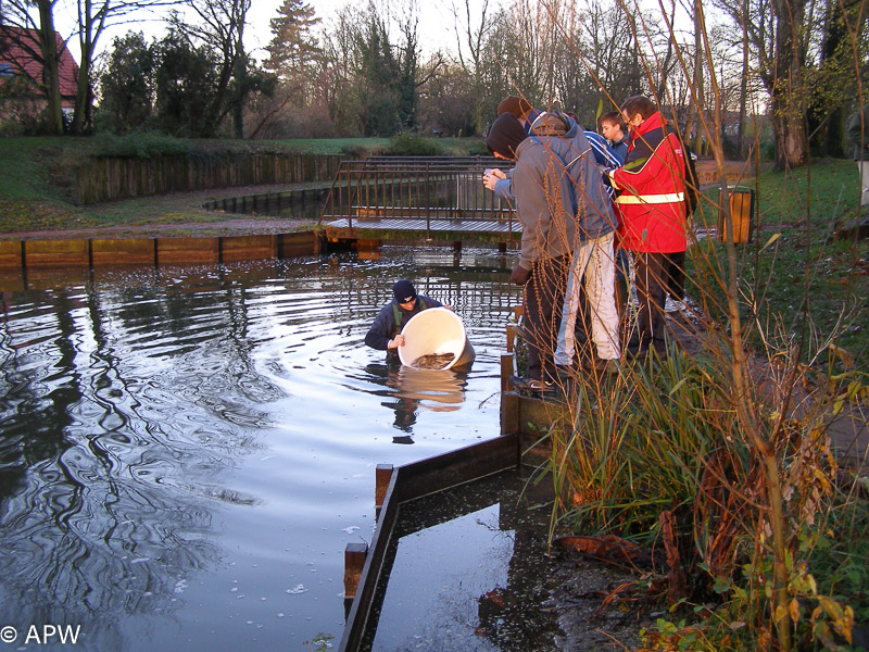 Rempoissonnement, 2006-12-09