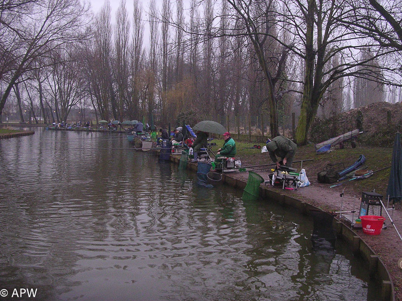 Coucours individuel de début de saison, 2006-03