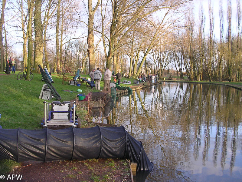 Concours d'ouverture, mars 2007