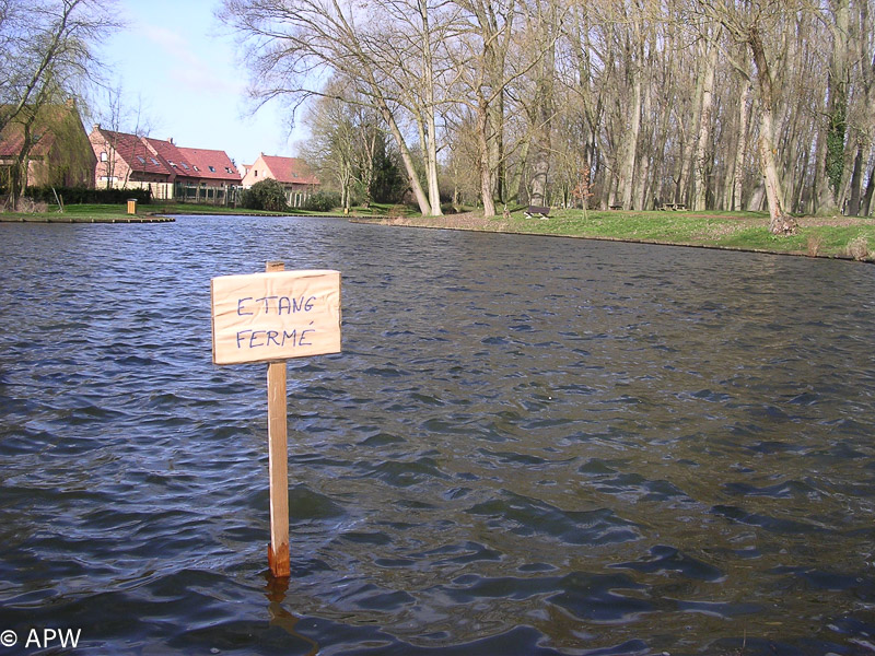 Tempête sur le parc, 2008