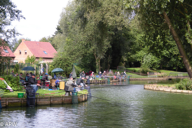 Concours de pêche, 09-2008