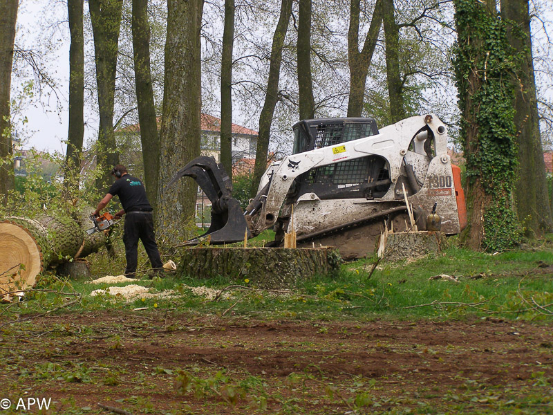 Abattage des arbres, le parc est fermé - 2009