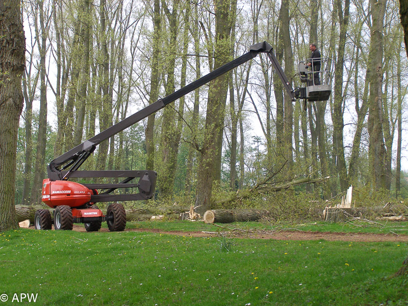 Abattage des arbres, le parc est fermé - 2009