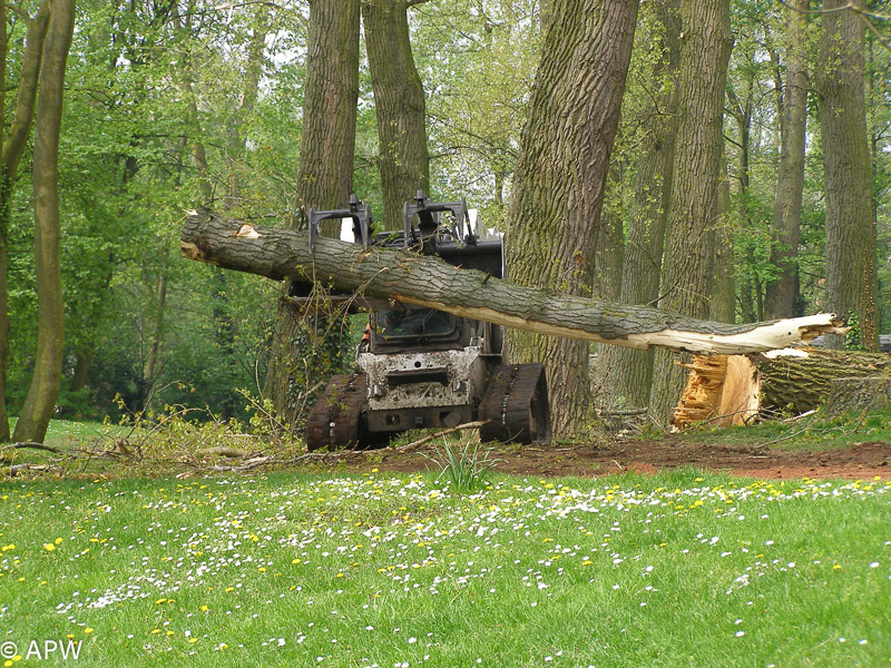 Abattage des arbres, le parc est fermé - 2009