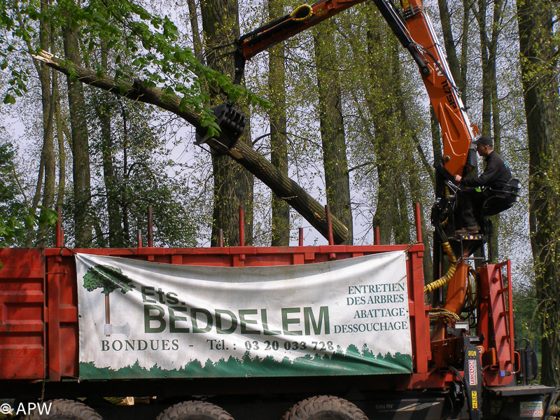 Abattage des arbres, le parc est fermé - 2009