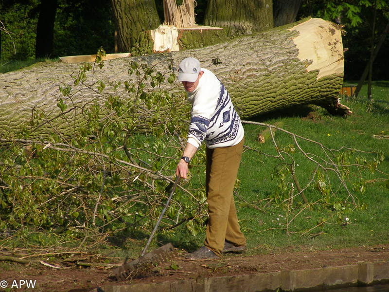 Abattage des arbres, le parc est fermé - 2009