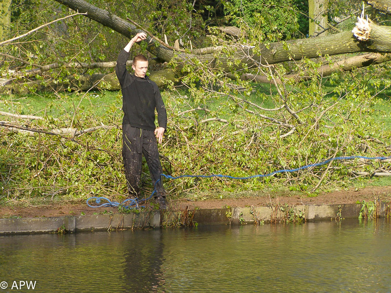 Abattage des arbres, le parc est fermé - 2009