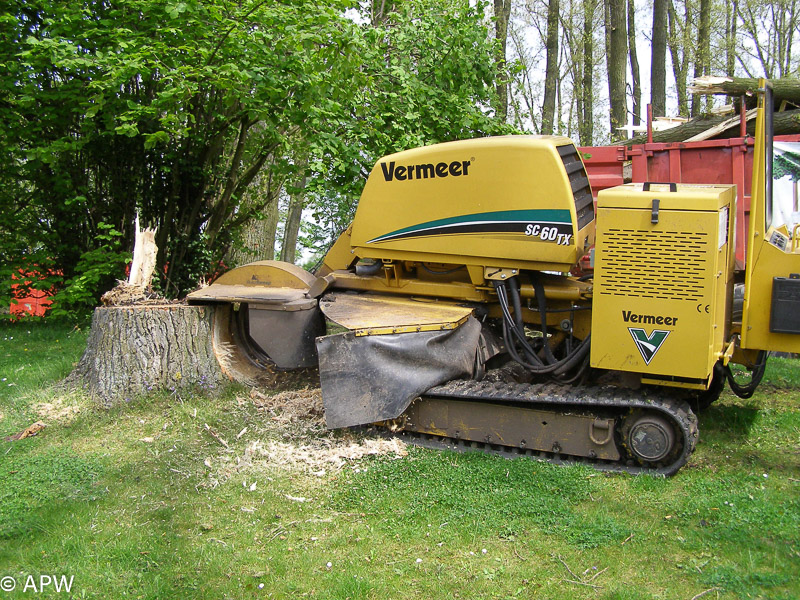 Abattage des arbres, le parc est fermé - 2009