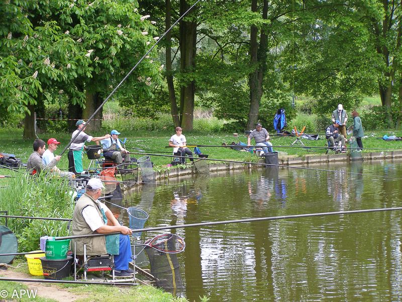 Concours au blanc, Mai 2009