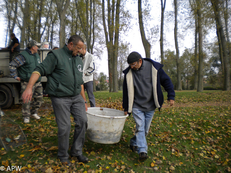 Rempoissonnement 2009