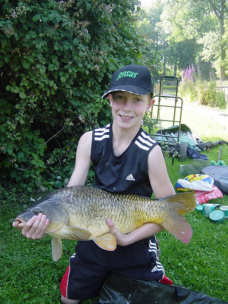 Carpe 7k500 pêchée par Antoine seul le 4 juillet 2011 a 18h 30 quel plaisir