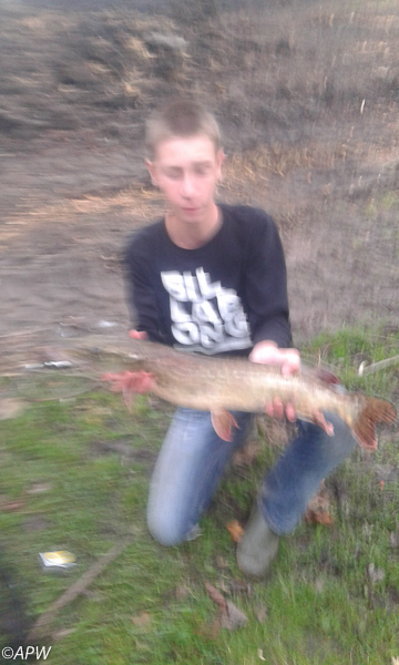 Brochet de 70cm au leurre par Antoine, 25/10/2014