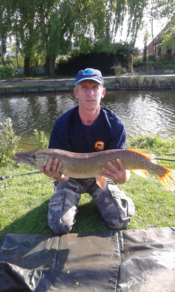 Brochet pris aujourd'hui le 13/05/2015 a la canne a coup au baby corn 90cm 6,5kg par THIERRY