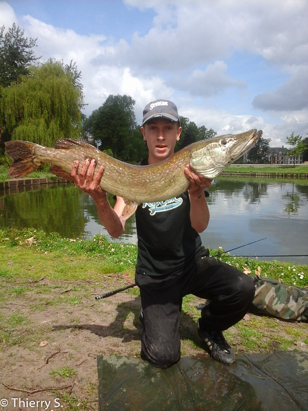 Aujourd'hui le 20/06/15 beau brochet de 92cm pris a la grande canne au baby corn - pris par Antoine