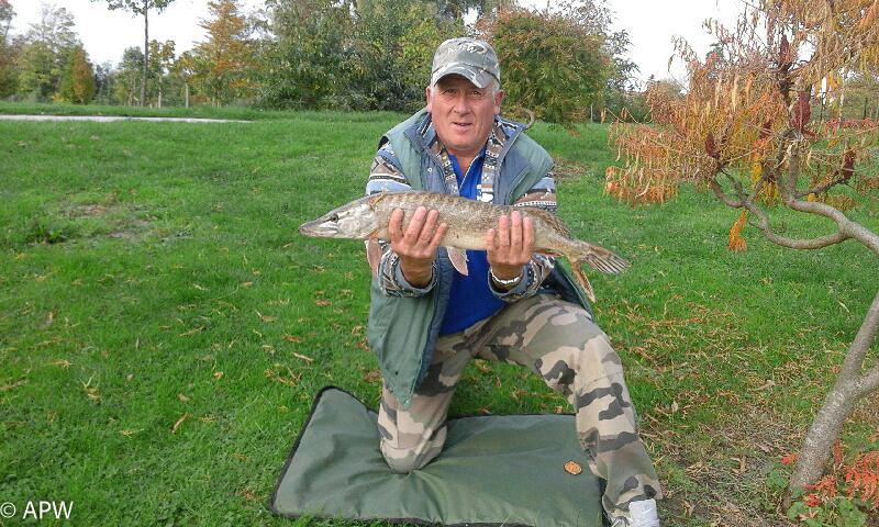 Brochet 70cm pour 2kg5 par jean-Michel le 17/10/2017