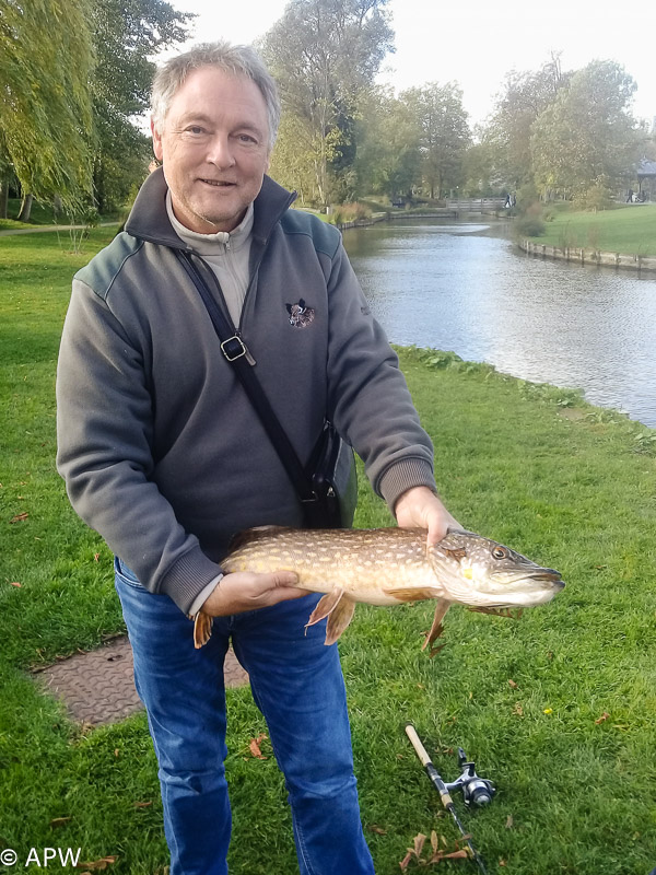 Brochet 2kg 500 pour 67 cm pris lors de la journée cuiller par jean claude 