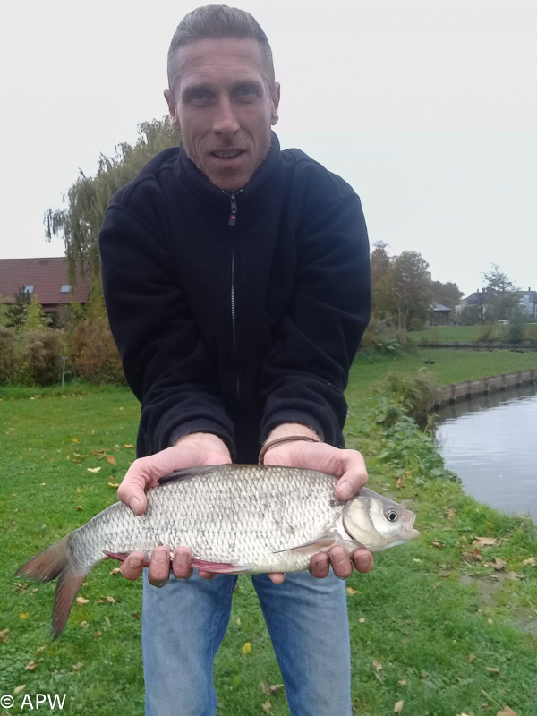 Gardon de plus de 1 kg pris par David le 25/10/2017