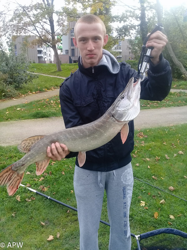 Brochet de 83 cm pour 4 kg 500 pris par Samuel le 28/10/2017