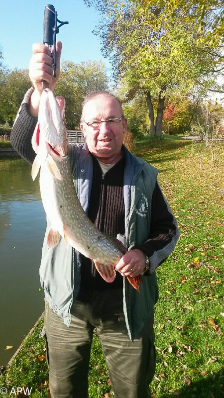 Brochet de 82cm 4,7kg par Guy, 5/11/2017