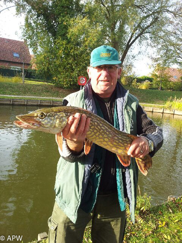 Pêche au leurre 74cm