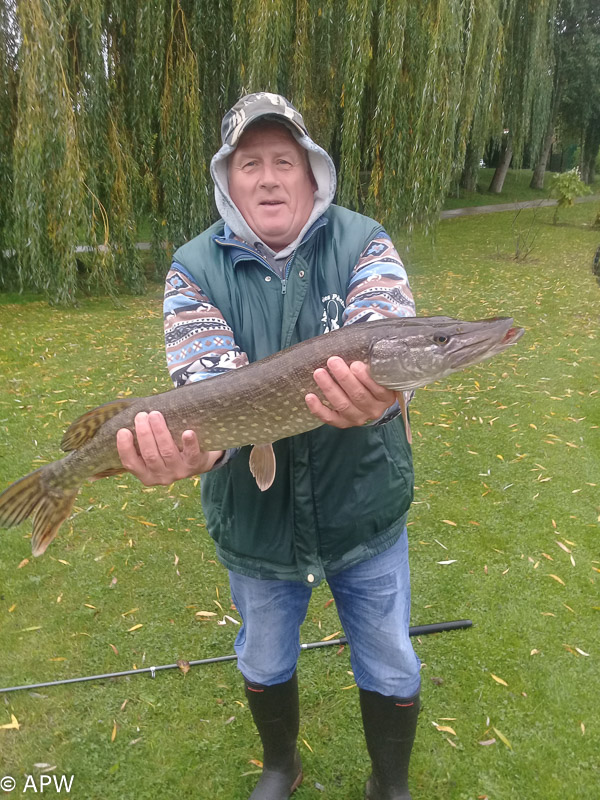 03/11/2019 - journée au leurre brochet de 75 cm/3 kg par Jean-Michel