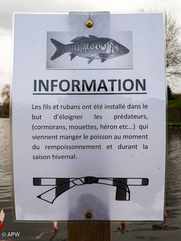 Information sur les filets