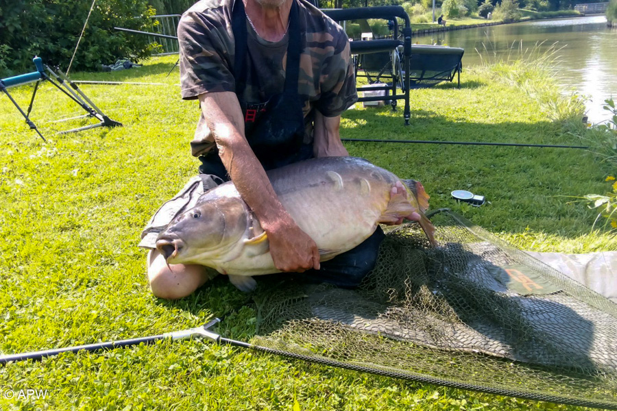 Carpe de 14,5kg capturée par Marcel