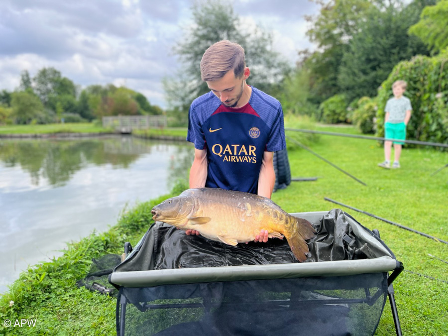 Carpe de 14kg prise par Julien.