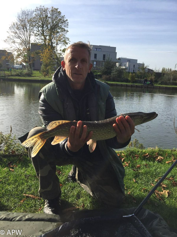 Brochet 65 cm pour 2kg500 pris par Thierry le 1/11/2017 TOUSSAINT