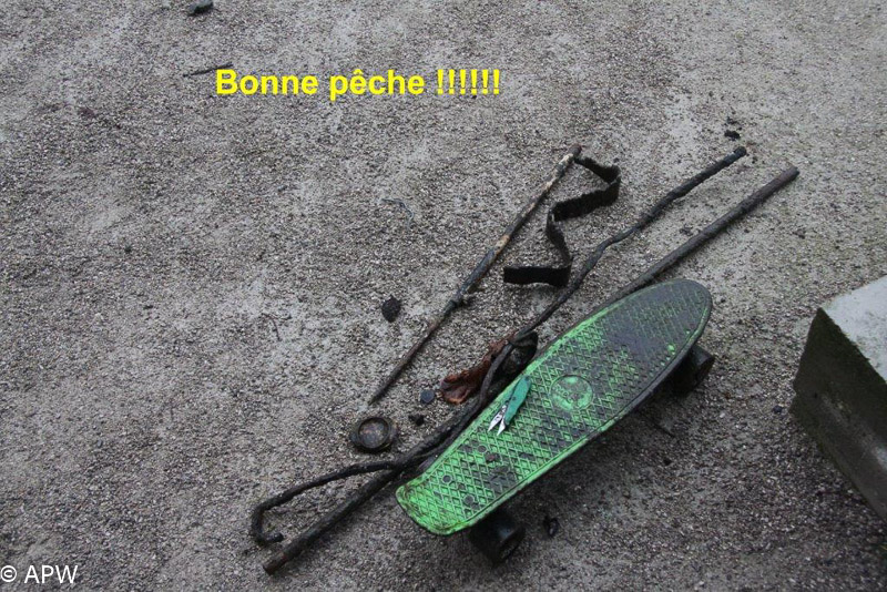 Skate pour étang, 11-201