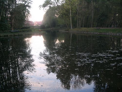 Photo d'automne à l'étang de Wambrechies / octobre 2008