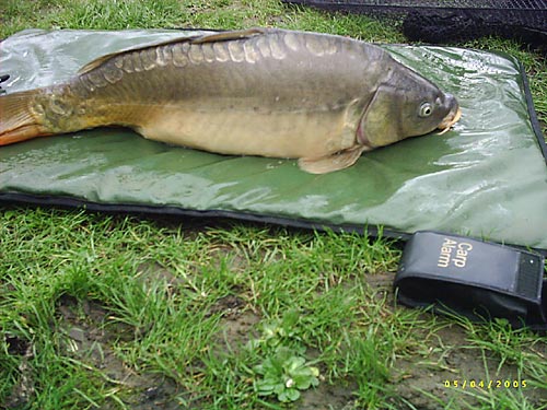 Carpe de 8kg - photo de Yann, 2008