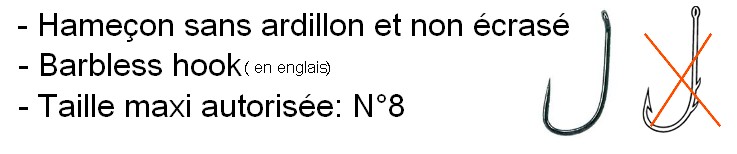 Règlementation de pêche à Wambrechies : les hameçons