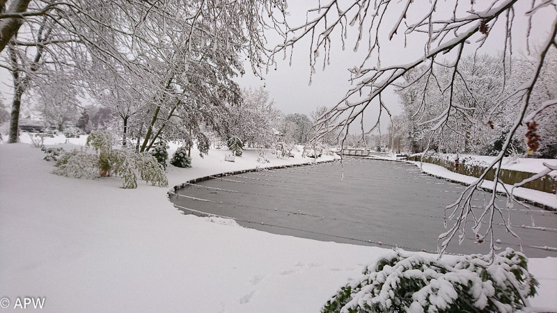 L'étang sous la neige, 2019-01