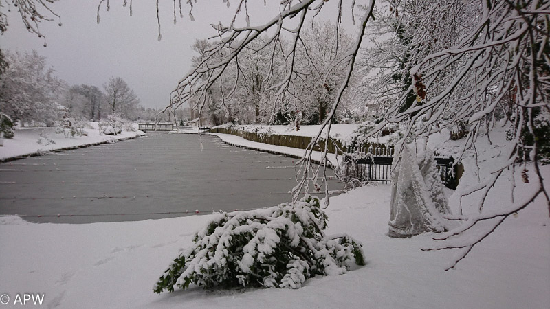 L'étang sous la neige, 2019-01