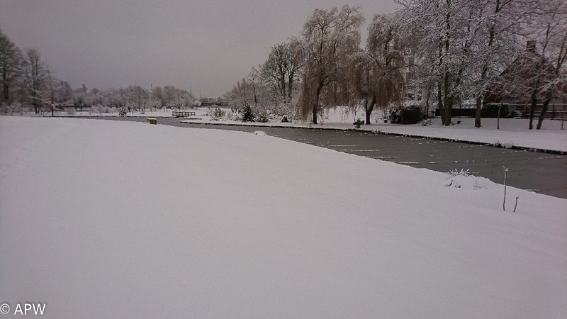 L'étang sous la neige, 2019-01