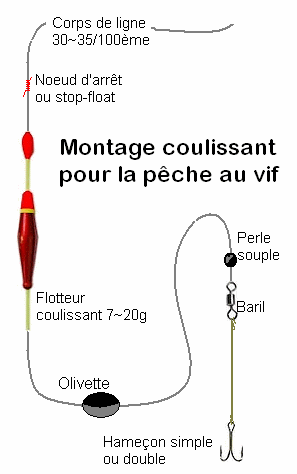 Montage coulissant pour le pêche au vif