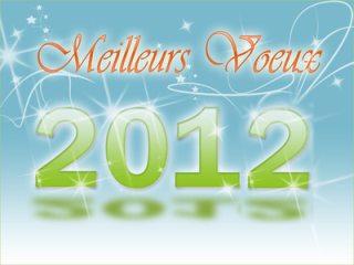 nouvel-an2012.jpg.png