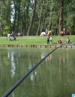 Parc de Rbersart - photo la Voix du Nord