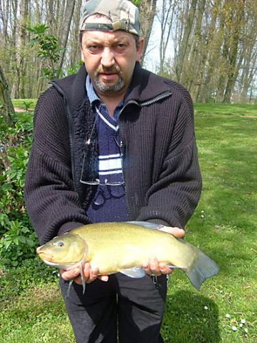 Voici quelque photos que j' ai prises à l'étang ce vendredi 28 avril,une tanche de 2.200kgs. Frederic, 2008